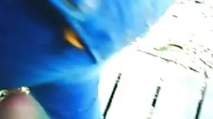 பட்பன்னி திரு. கேரிசனின் பேங்பைக் காப்புரிமையை மீறுகிறார்!