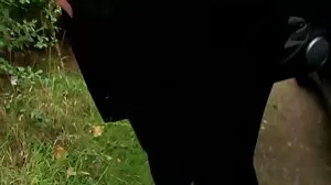 சப்பி